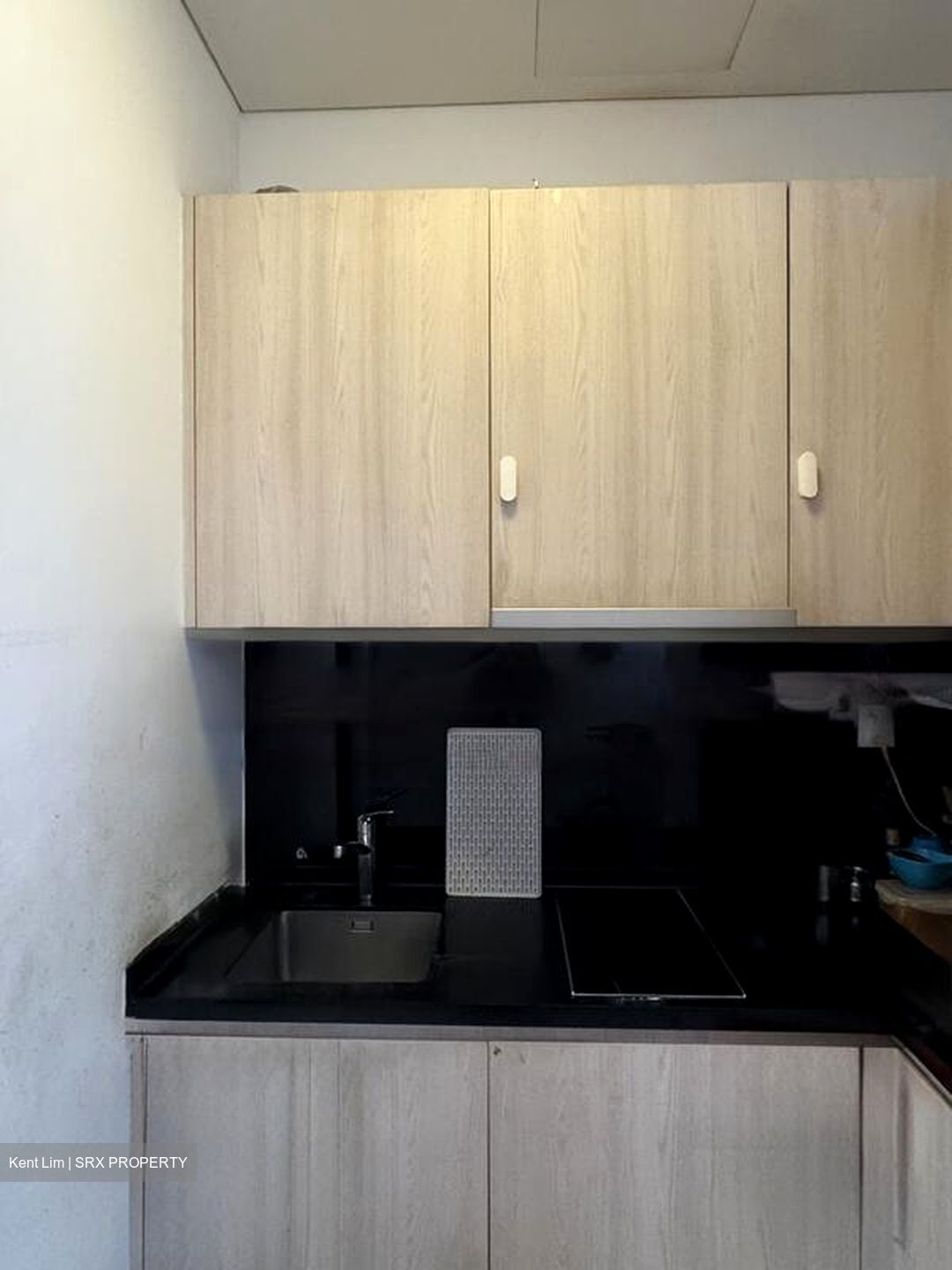 The Promenade@Pelikat (D19), Apartment #471309521